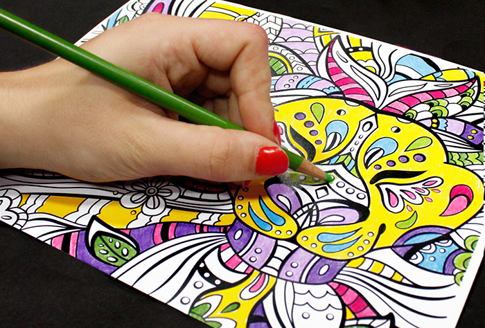 Colored Pencils Art Instructions|Coloring Page of Noble Lion