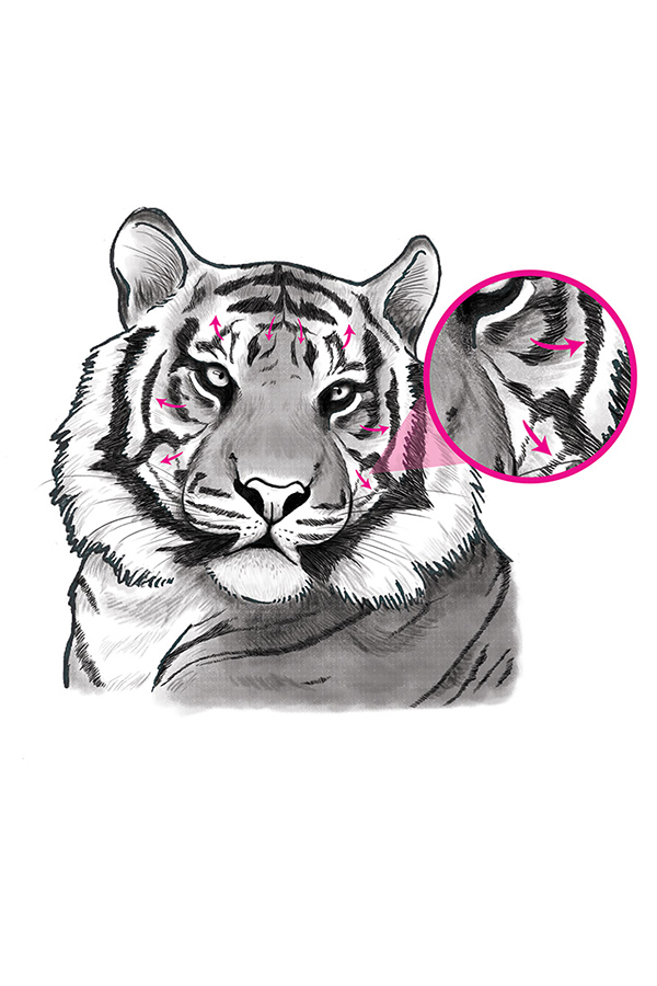 How to paint TIGER STRIPES, Step By Step Tiger Print Tutorial