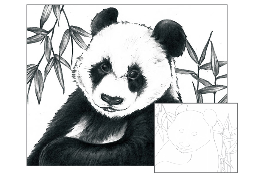 Graphite Drawing - Panda