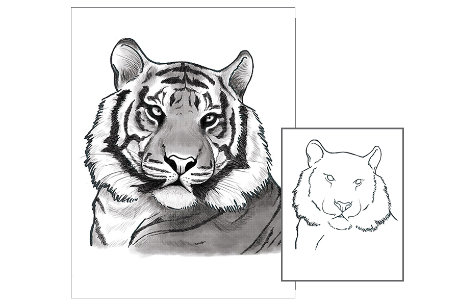 Bengal Tiger Drawing by Rajendra V | ArtZolo.com